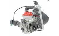 Moteur Rotax MICROMAX FFSA