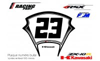 Kawasaki ZX10R plate number