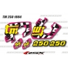 Graphic kit TM 250 1994