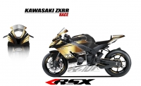 KAWASAKI ZX10R 2011 et + GUNRACE-NO