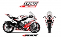 BMW S1000RR SPIRIT 2009-2014