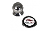 Car smartphone support
