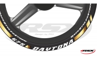 Daytona Wheel stripes