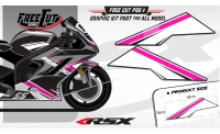 Low fairing F2 white Graphic kit