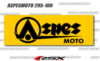 Aspes Moto 295