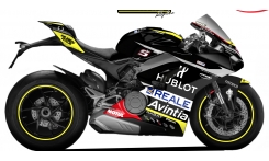 V4 2018-20 Panigale fairing